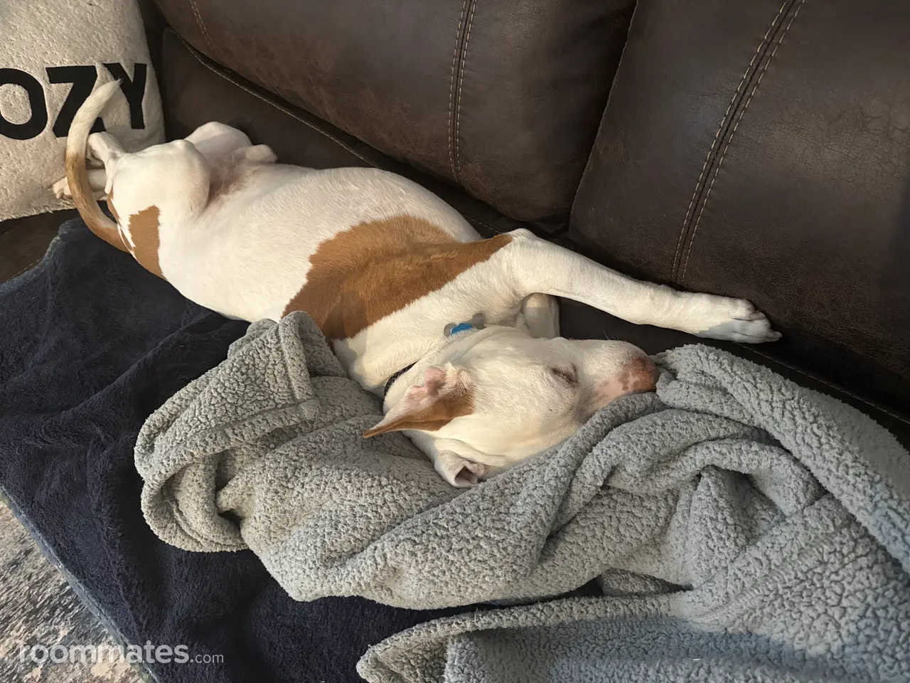 Profile photo 6 of 18