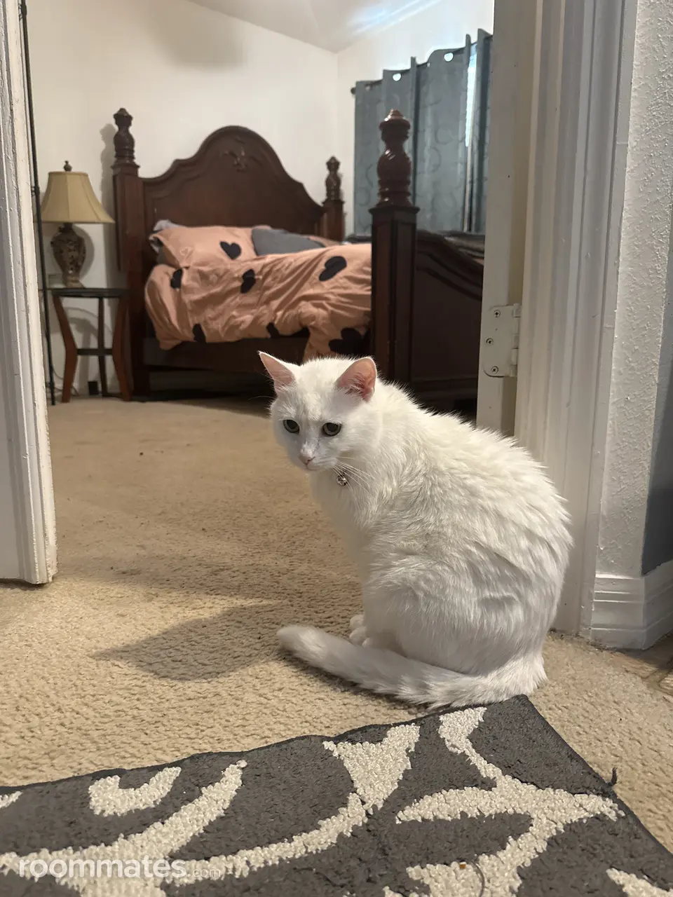 Profile photo 7 of 18