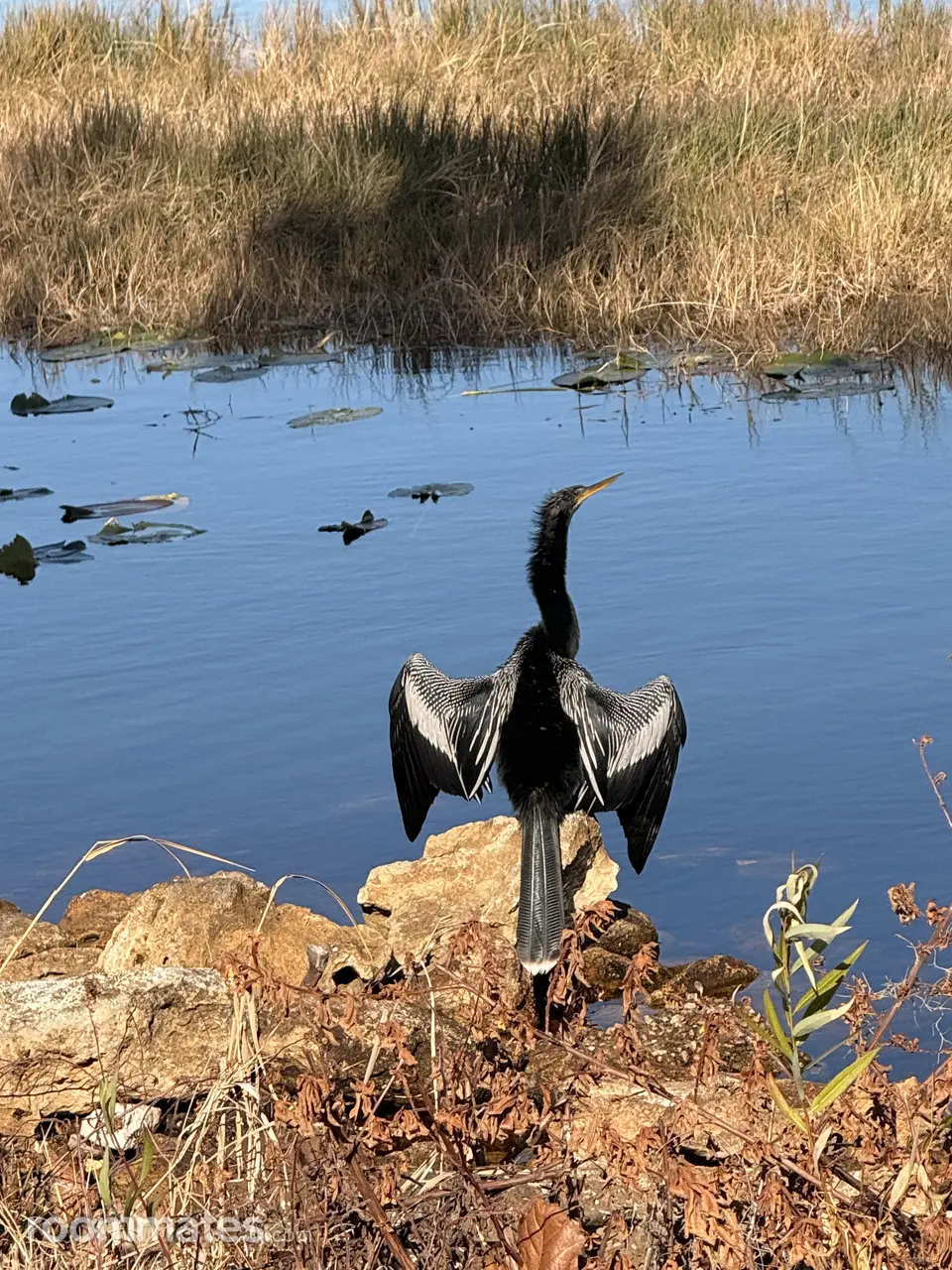 Profile photo 14 of 18