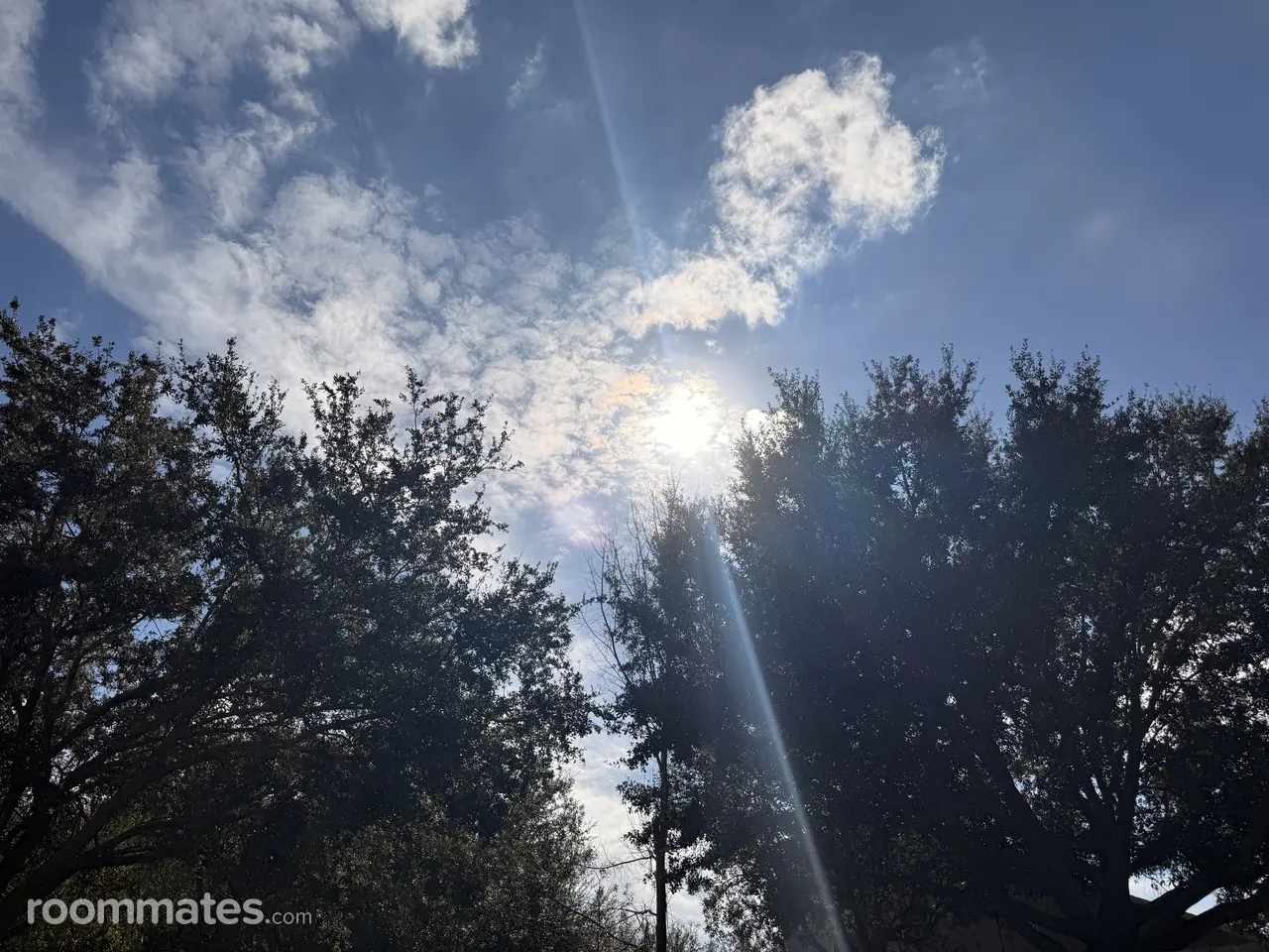 Profile photo 16 of 18