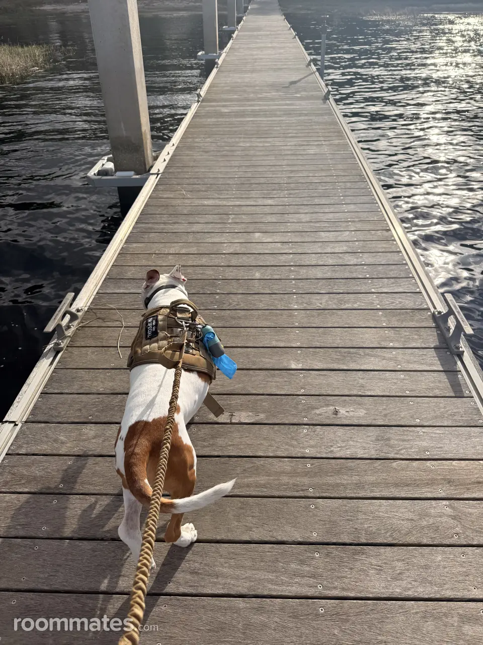 Profile photo 13 of 18