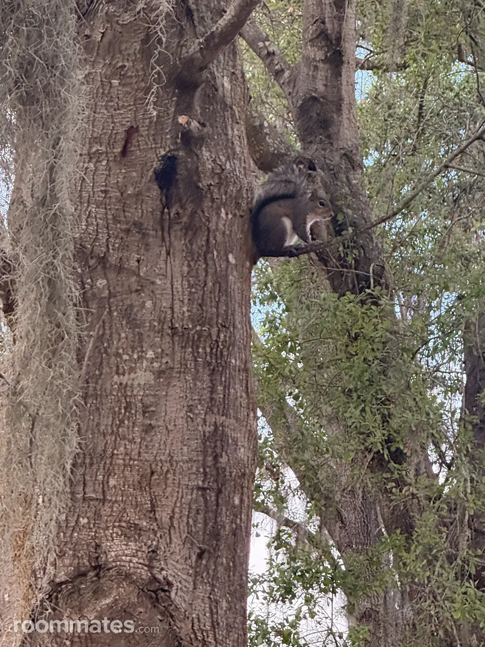 Profile photo 12 of 18