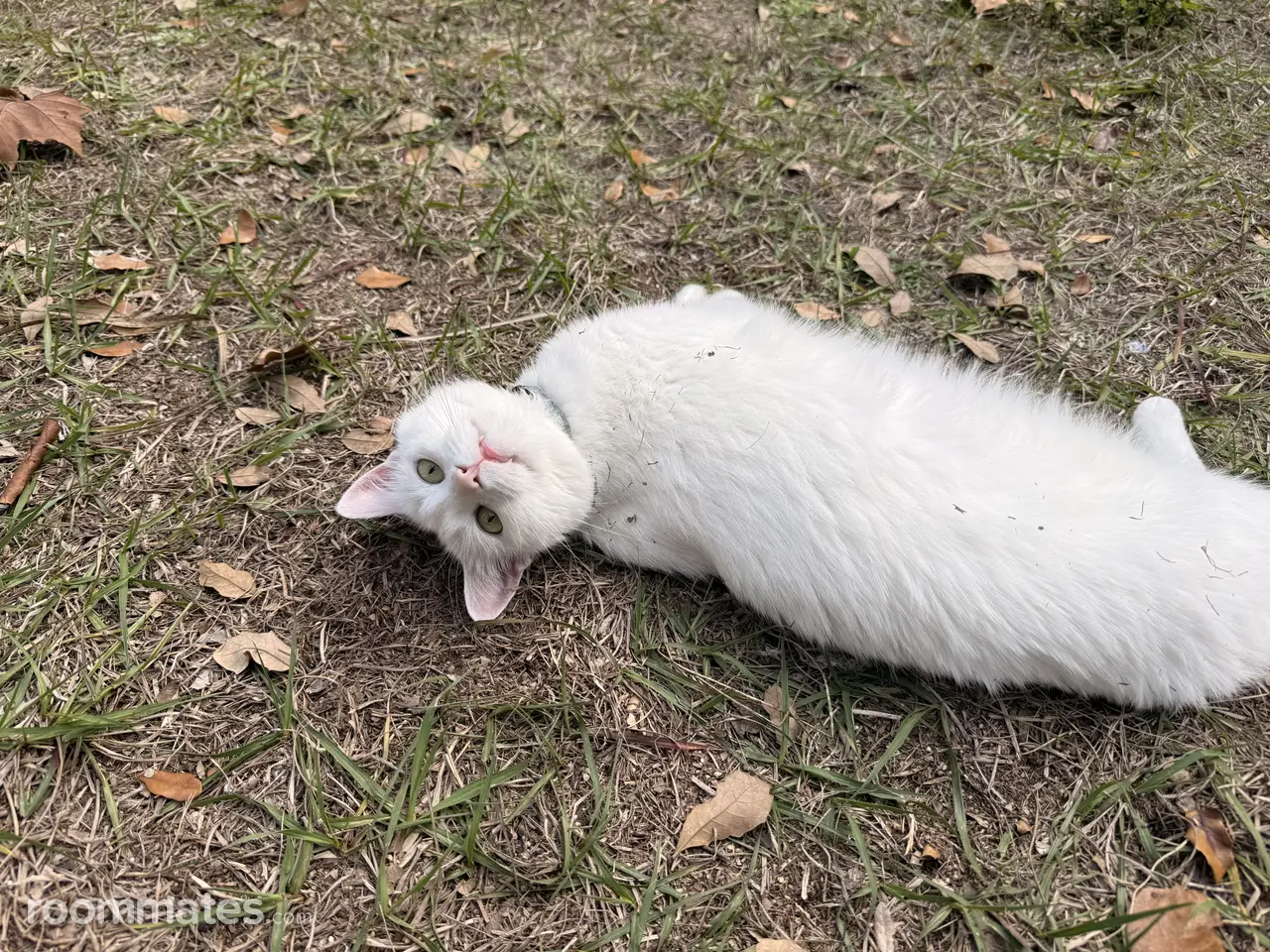 Profile photo 17 of 18