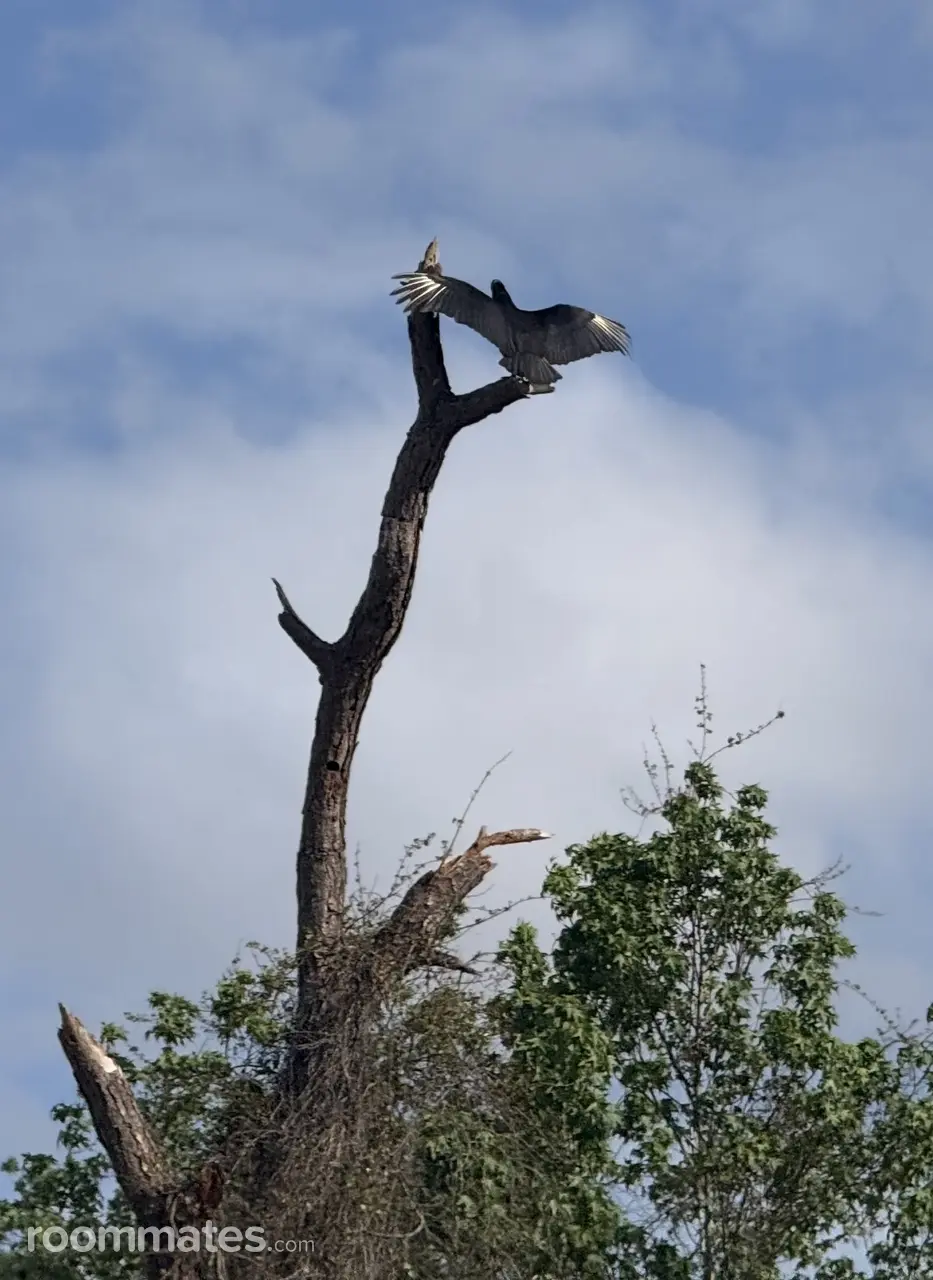 Profile photo 18 of 18