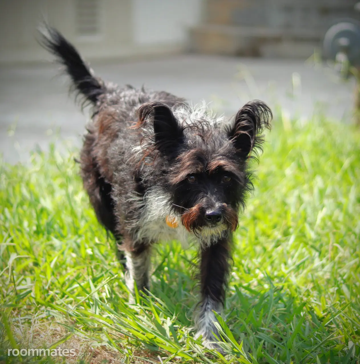 Profile photo 4 of 8