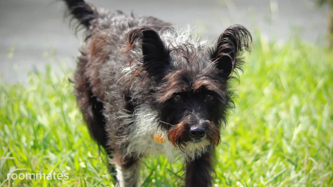 Profile photo 1 of 8