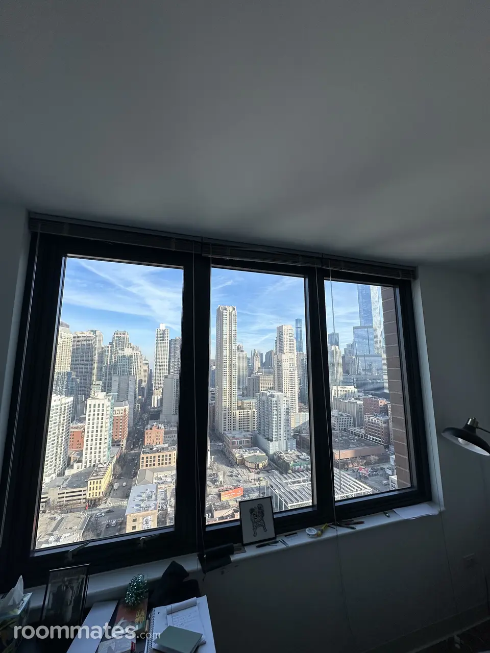 Profile photo 17 of 21