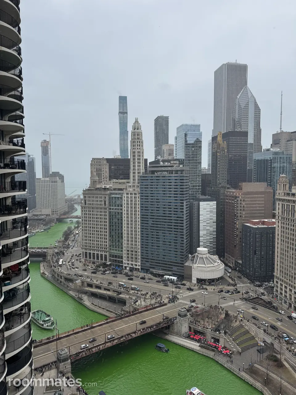 Profile photo 21 of 21