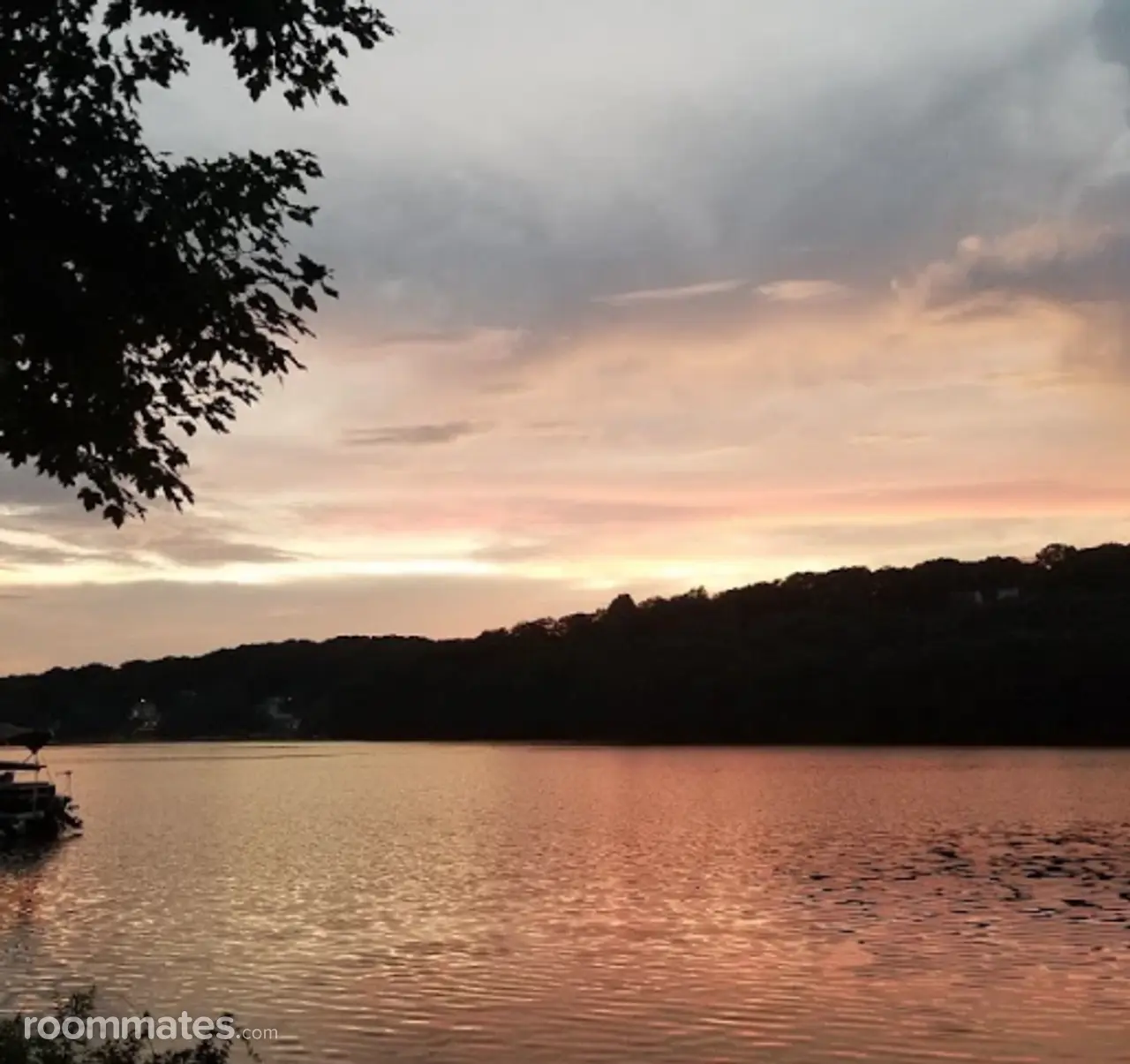 Profile photo 7 of 7