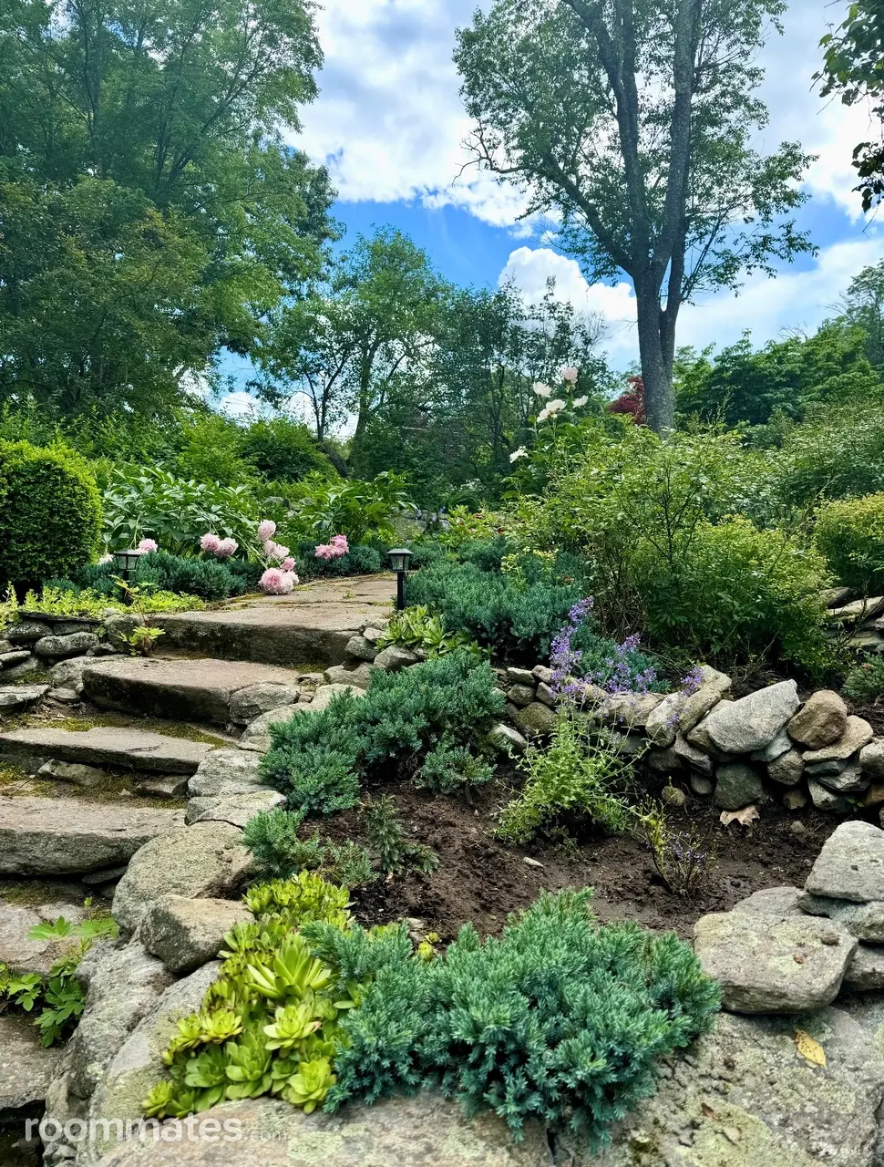 Profile photo 2 of 11