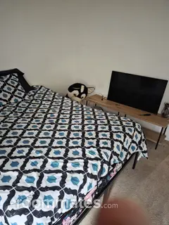 Room for rent in Norfolk, VA $400, house