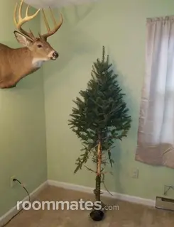 Room for rent in Chaska, MN $600, other