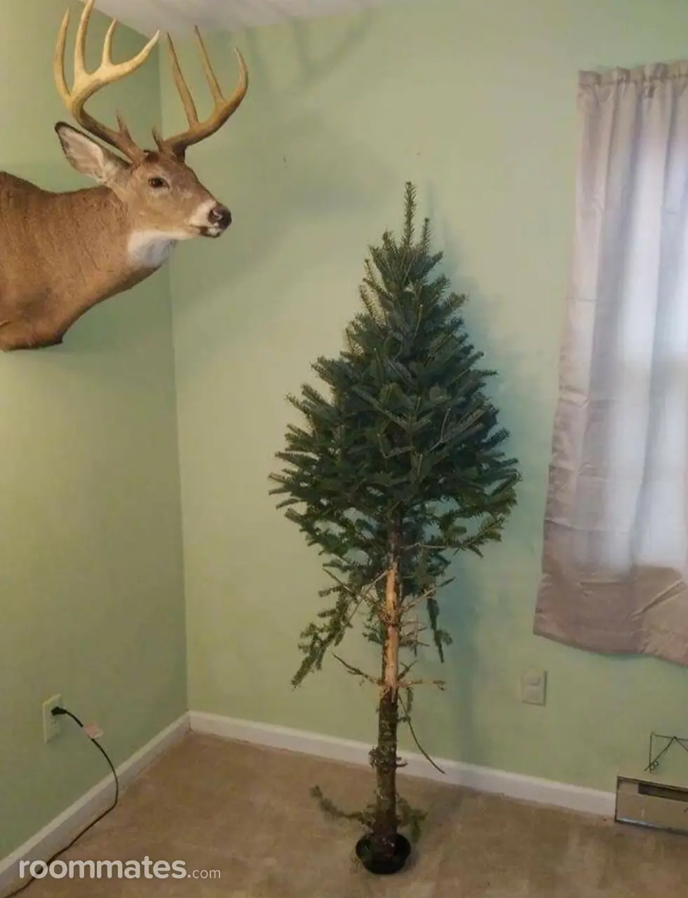 Profile photo 1 of 2