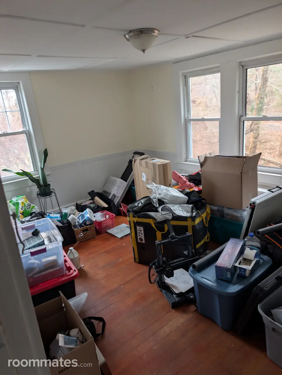 Profile photo 1 of 2