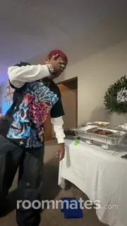 Roommate looking Saint Paul, MN, $700