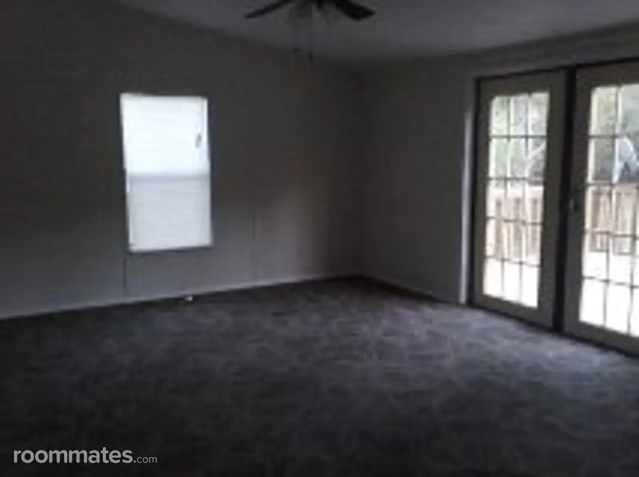 Profile photo 12 of 12