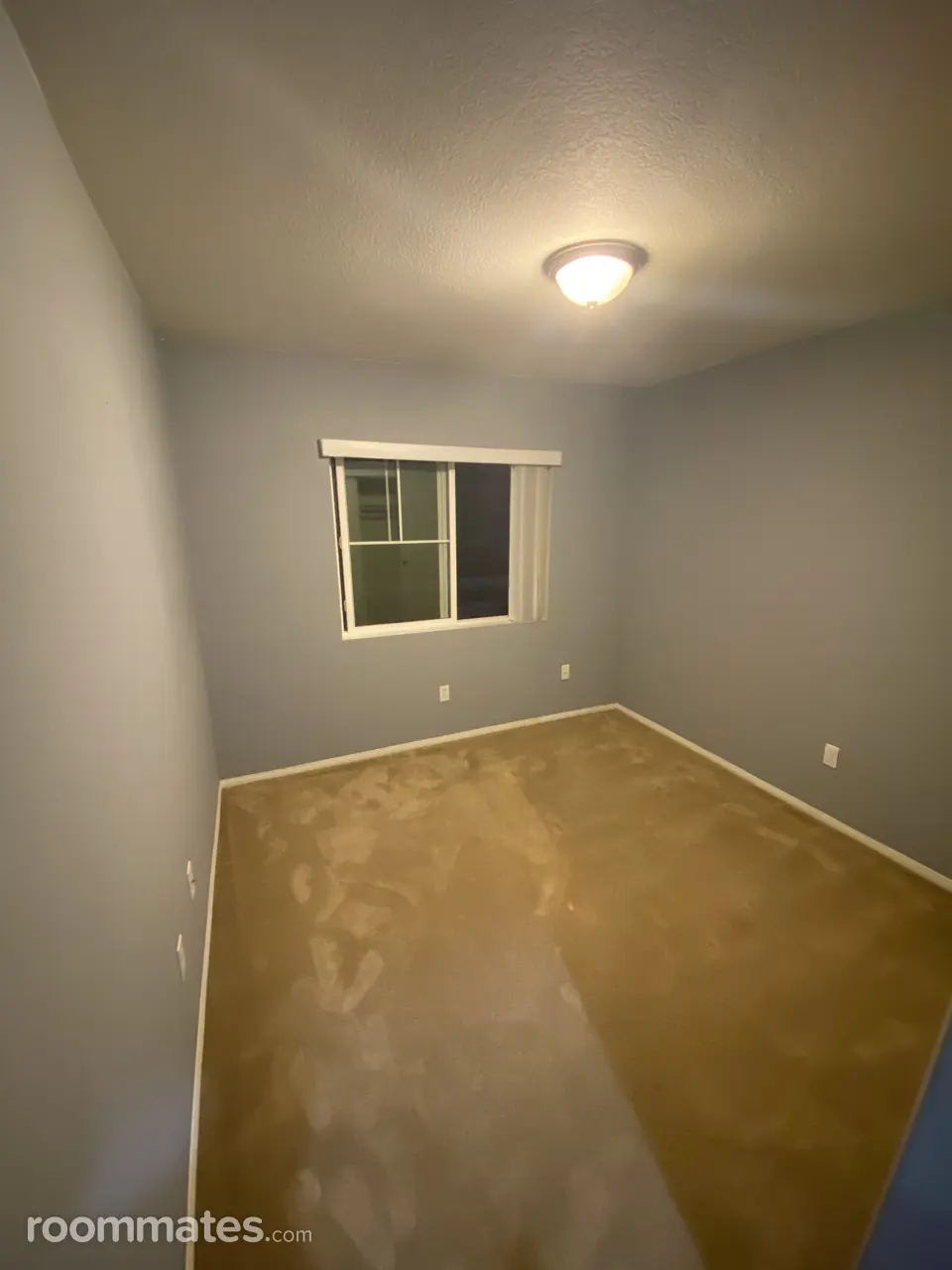 Profile photo 5 of 10