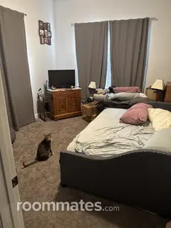 Room for rent in Asheville, NC $675, apartment