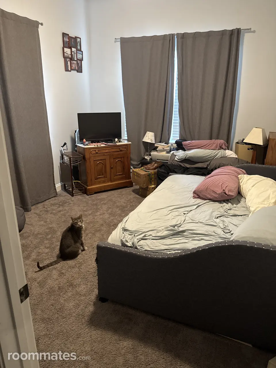 Profile photo 1 of 13