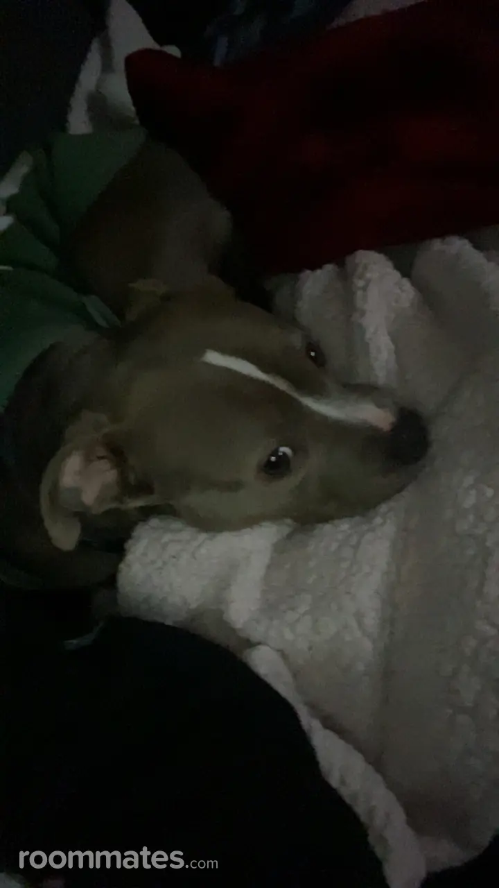 Profile photo 3 of 3