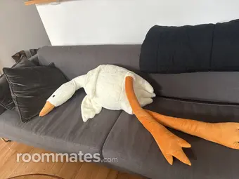 Room for rent in Hudson, NY $900, apartment