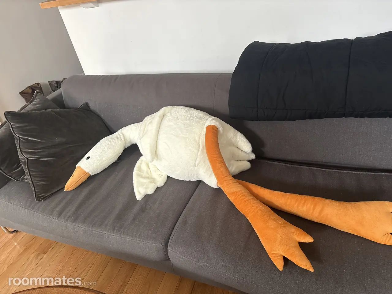 Profile photo 1 of 2