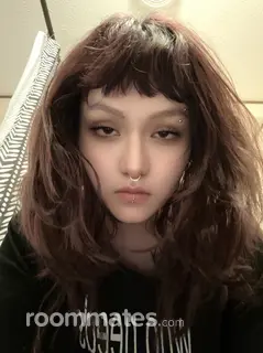 Roommate looking Wheaton IL, $500