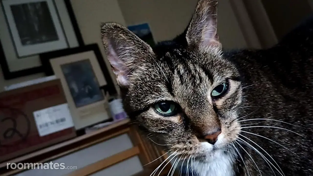 Profile photo 4 of 4