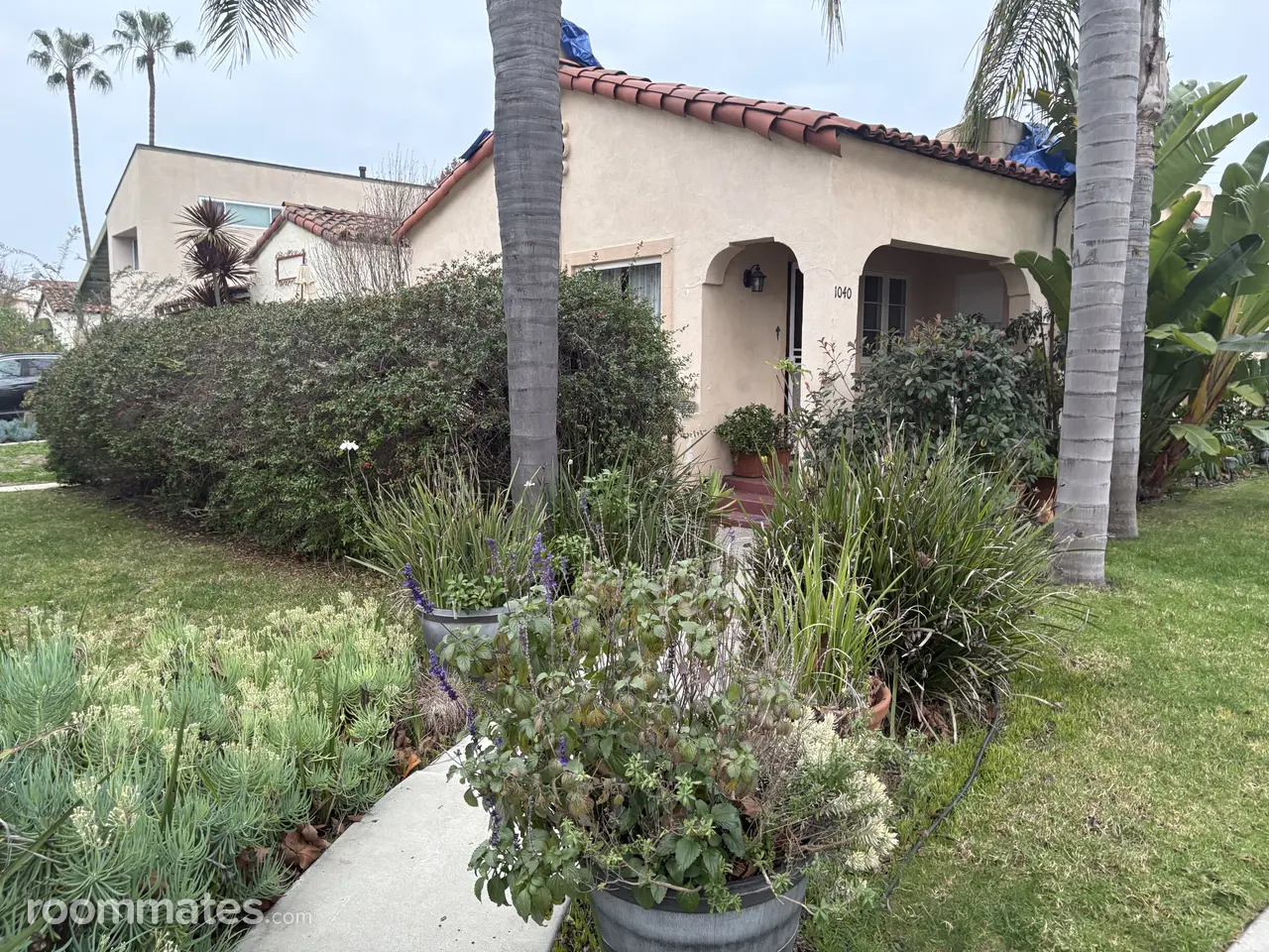 Profile photo 5 of 7