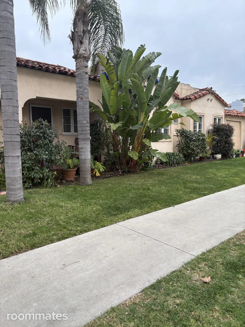 Profile photo 6 of 7