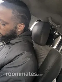 Roommate looking Detroit Beach, MI, $500