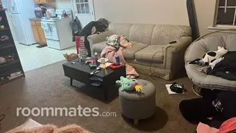 Room for rent in Montevallo, AL $375, apartment