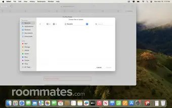 Roommate looking Chicago, IL, $1500