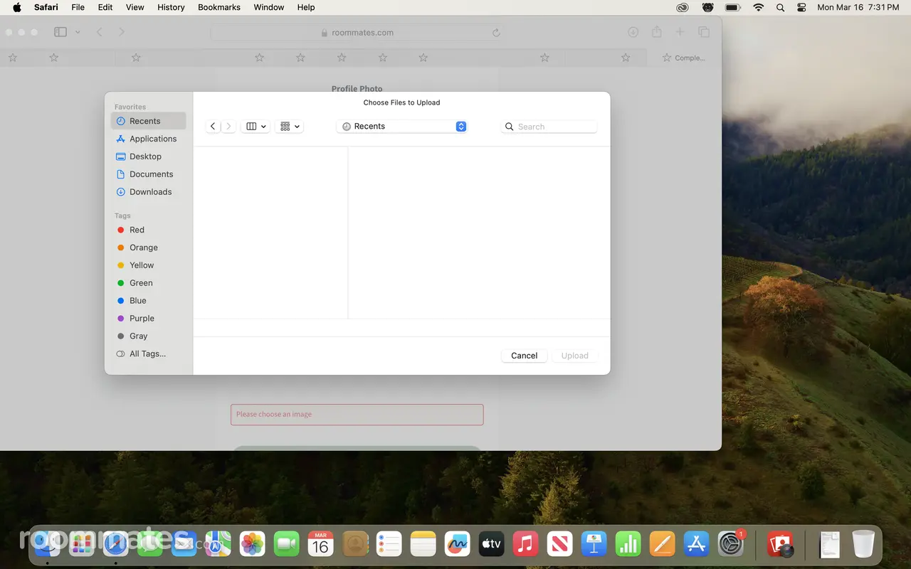 Profile photo 1 of 1
