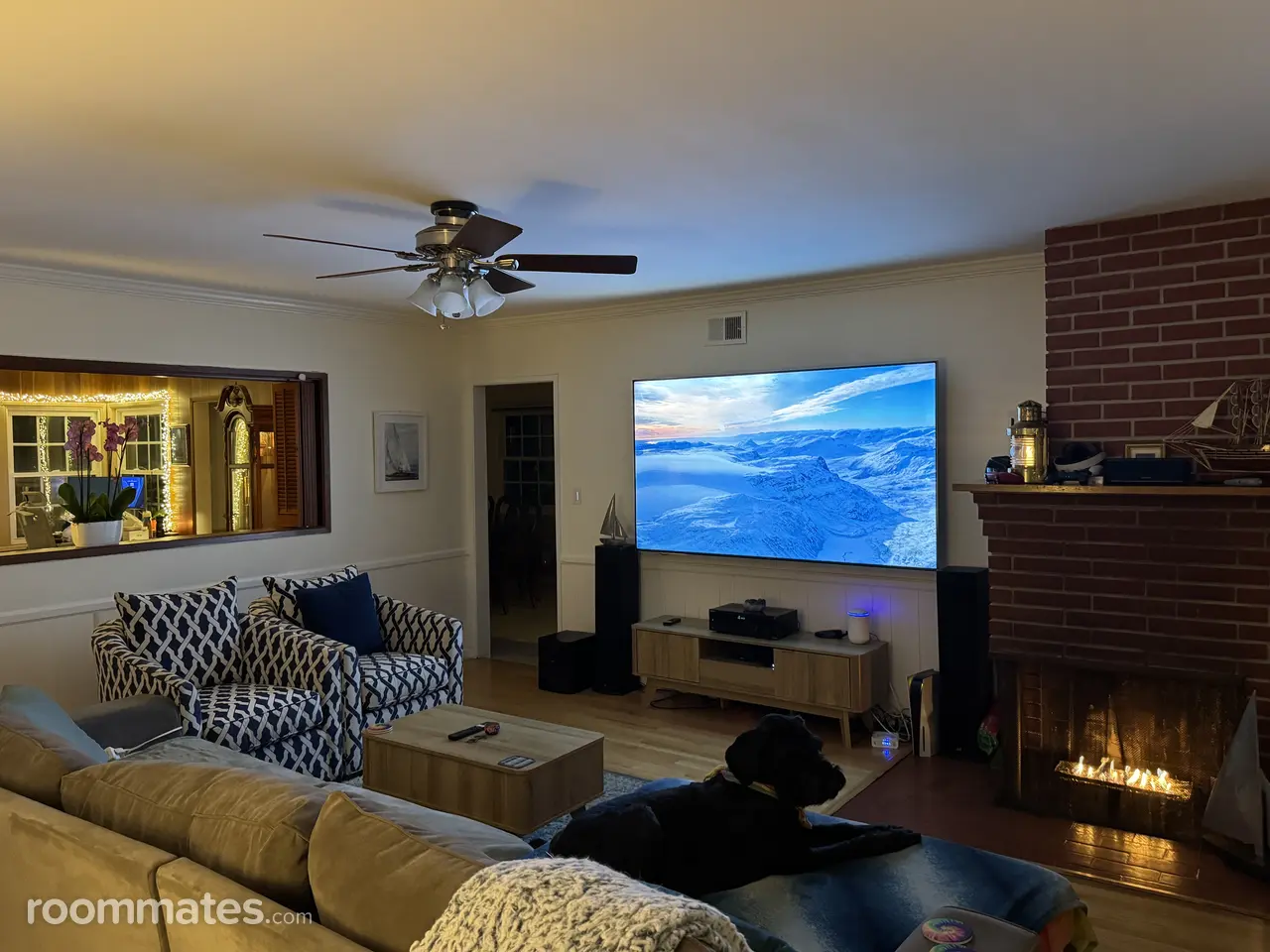 Profile photo 8 of 14