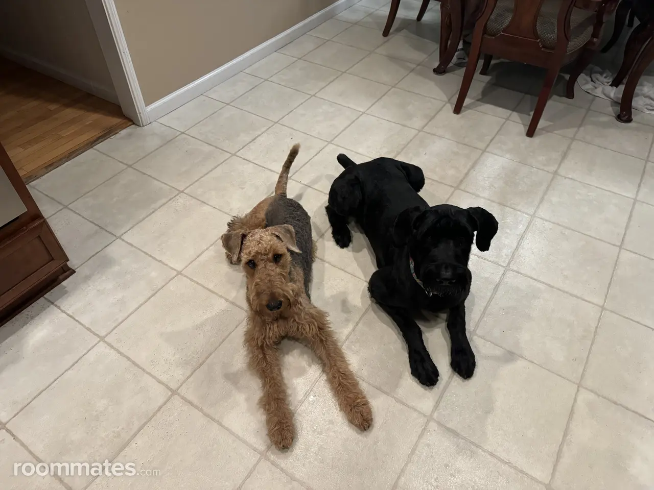 Profile photo 9 of 14