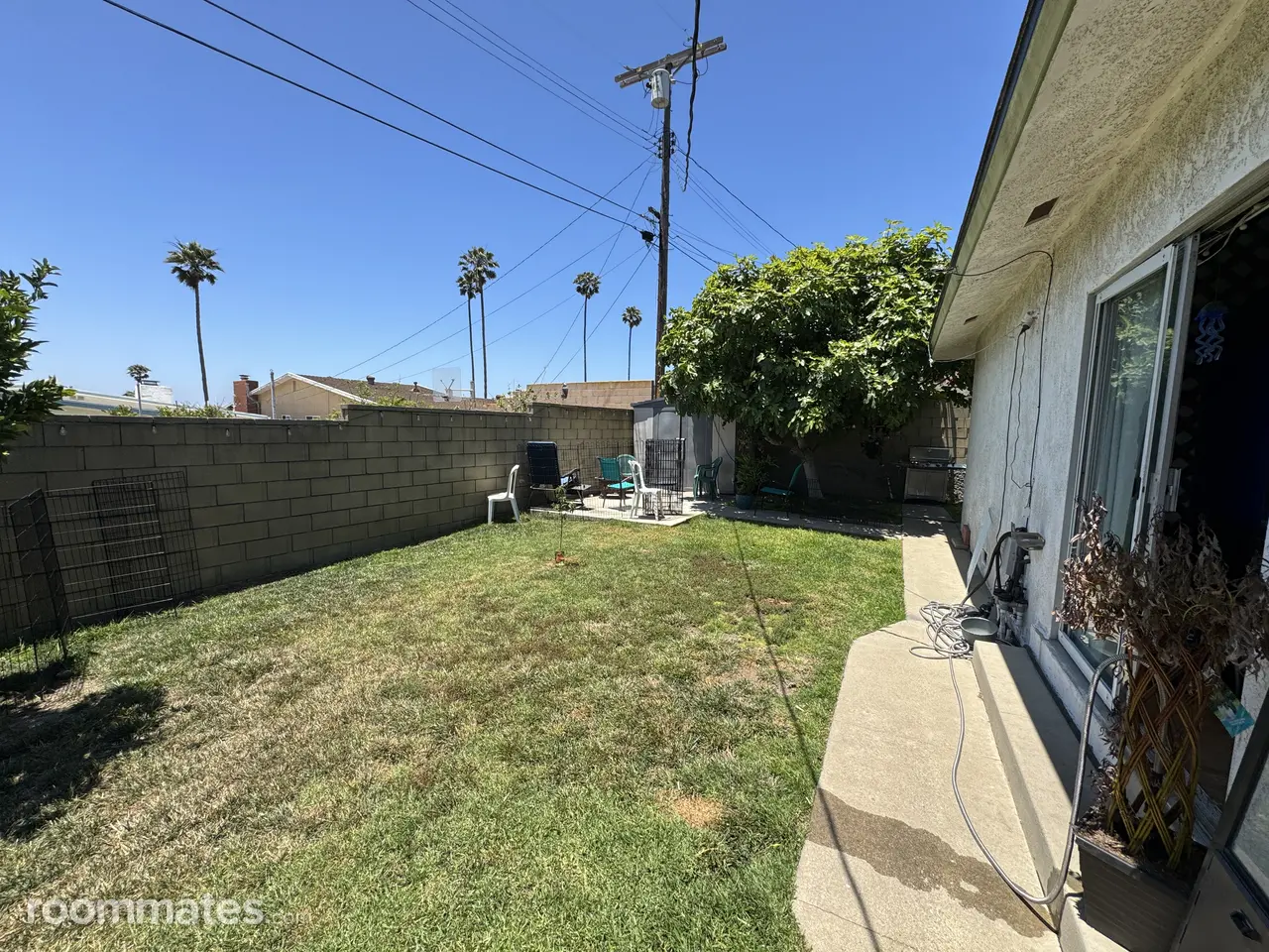 Profile photo 10 of 14