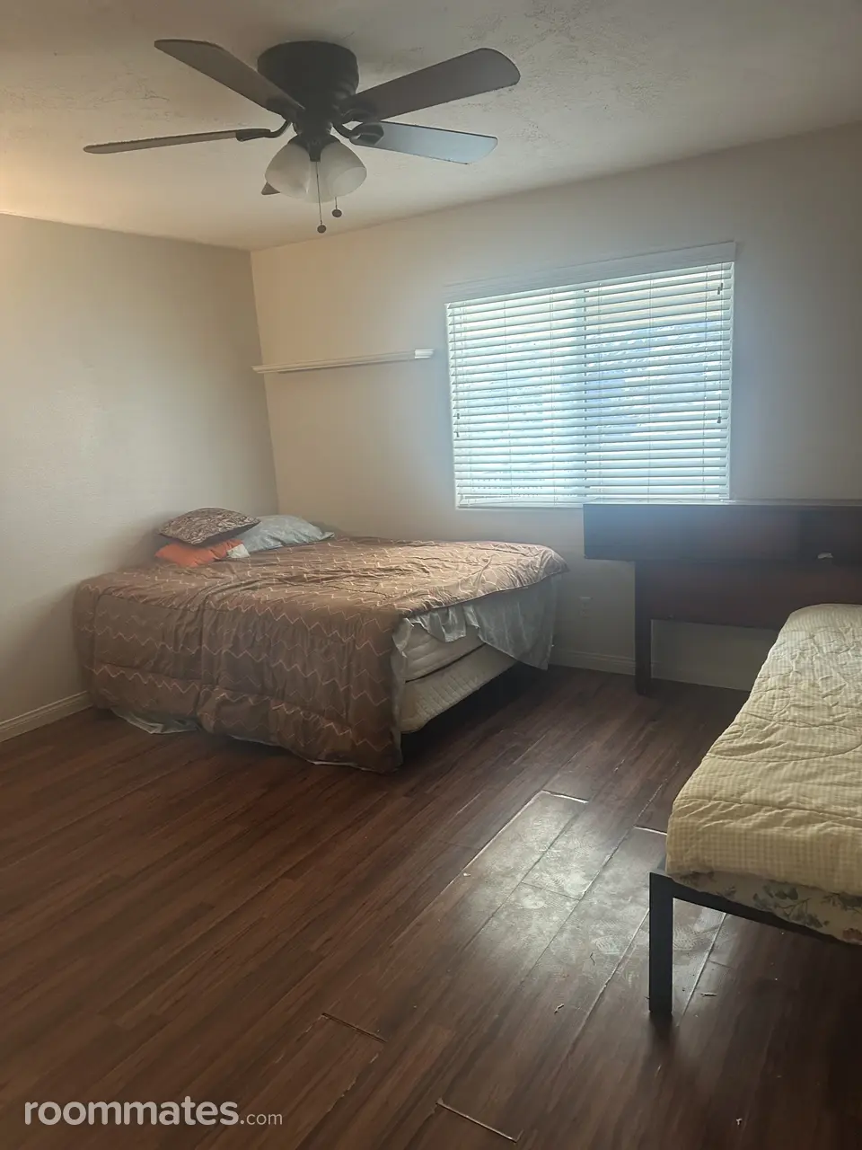 Profile photo 4 of 5