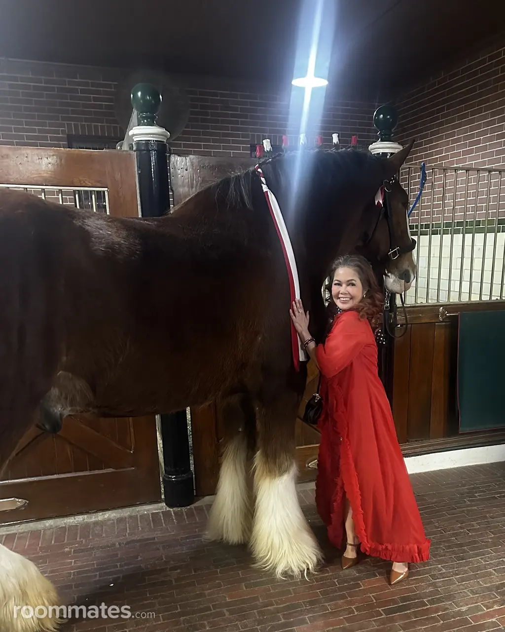 Profile photo 11 of 12