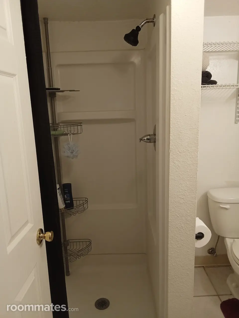 Profile photo 3 of 11