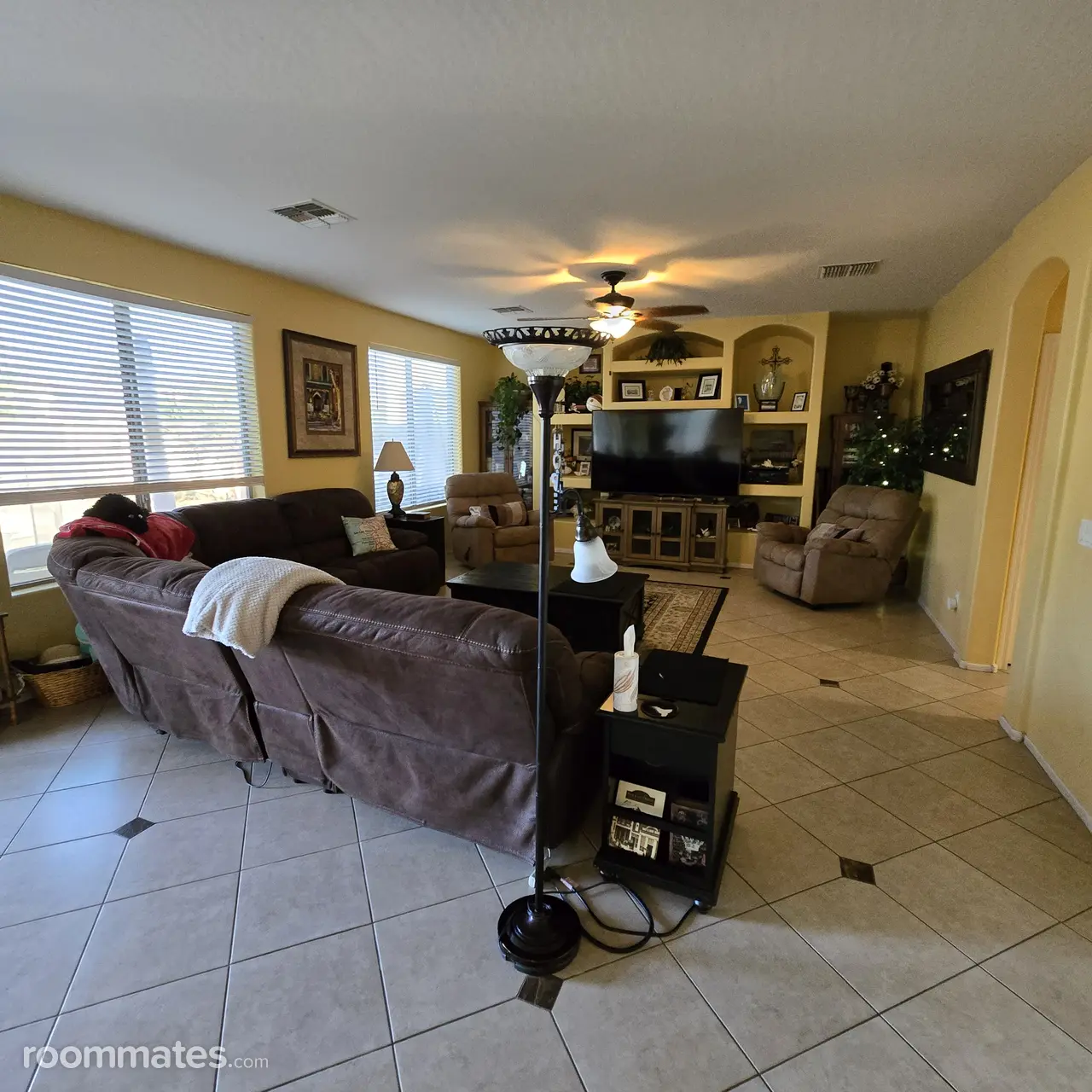 Profile photo 8 of 11