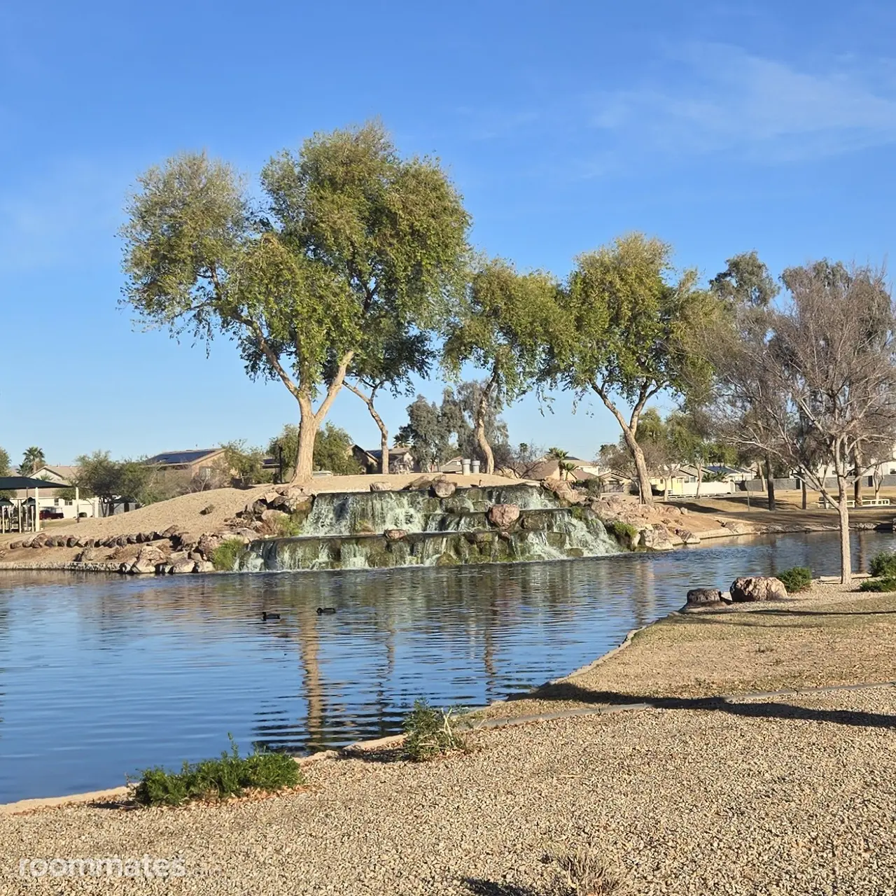 Profile photo 1 of 11