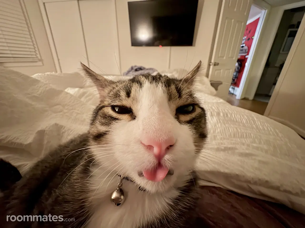 Profile photo 7 of 7