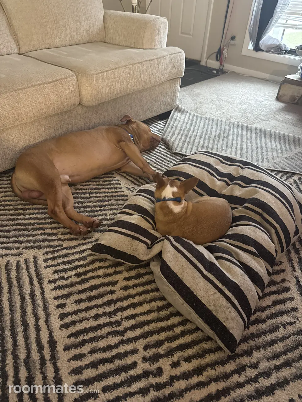 Profile photo 1 of 2