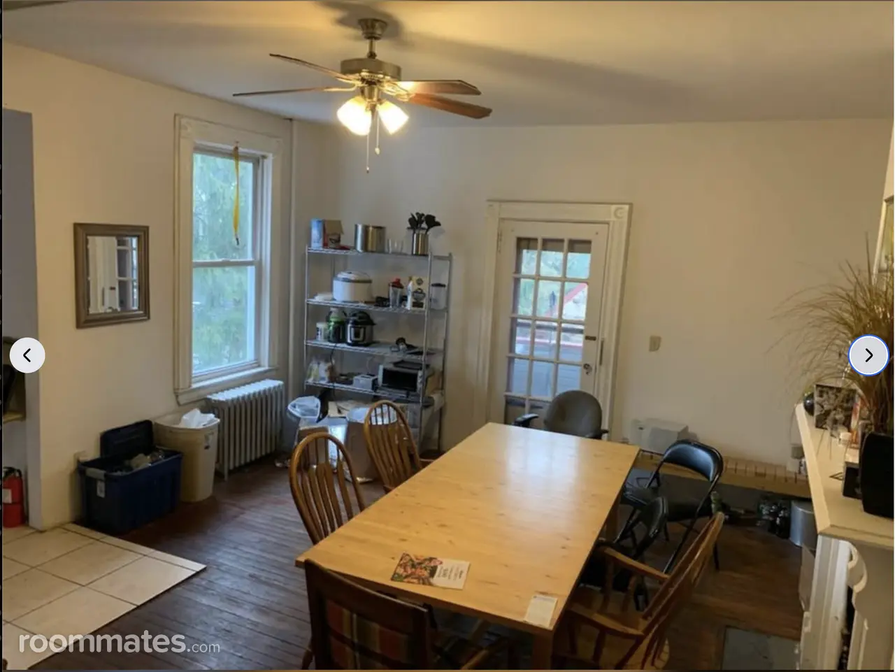 Profile photo 7 of 8