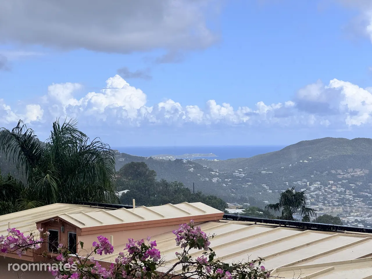 Profile photo 2 of 2