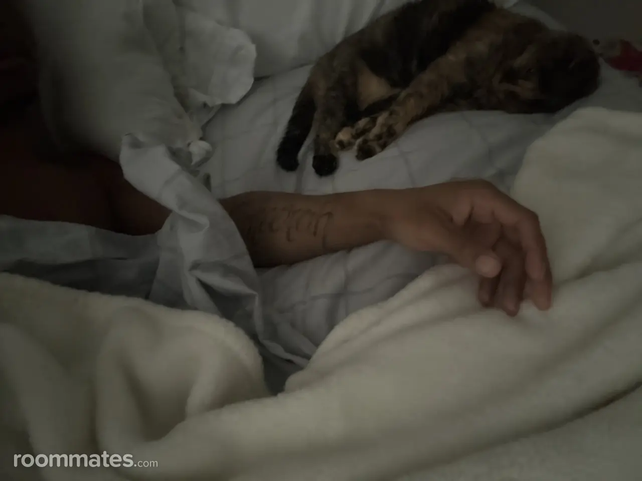 Profile photo 2 of 3