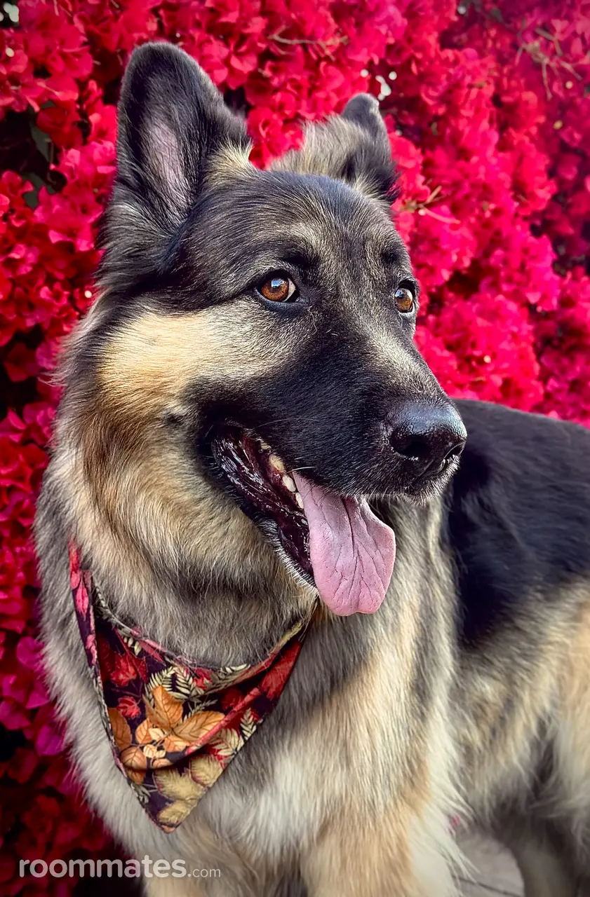 Profile photo 4 of 5