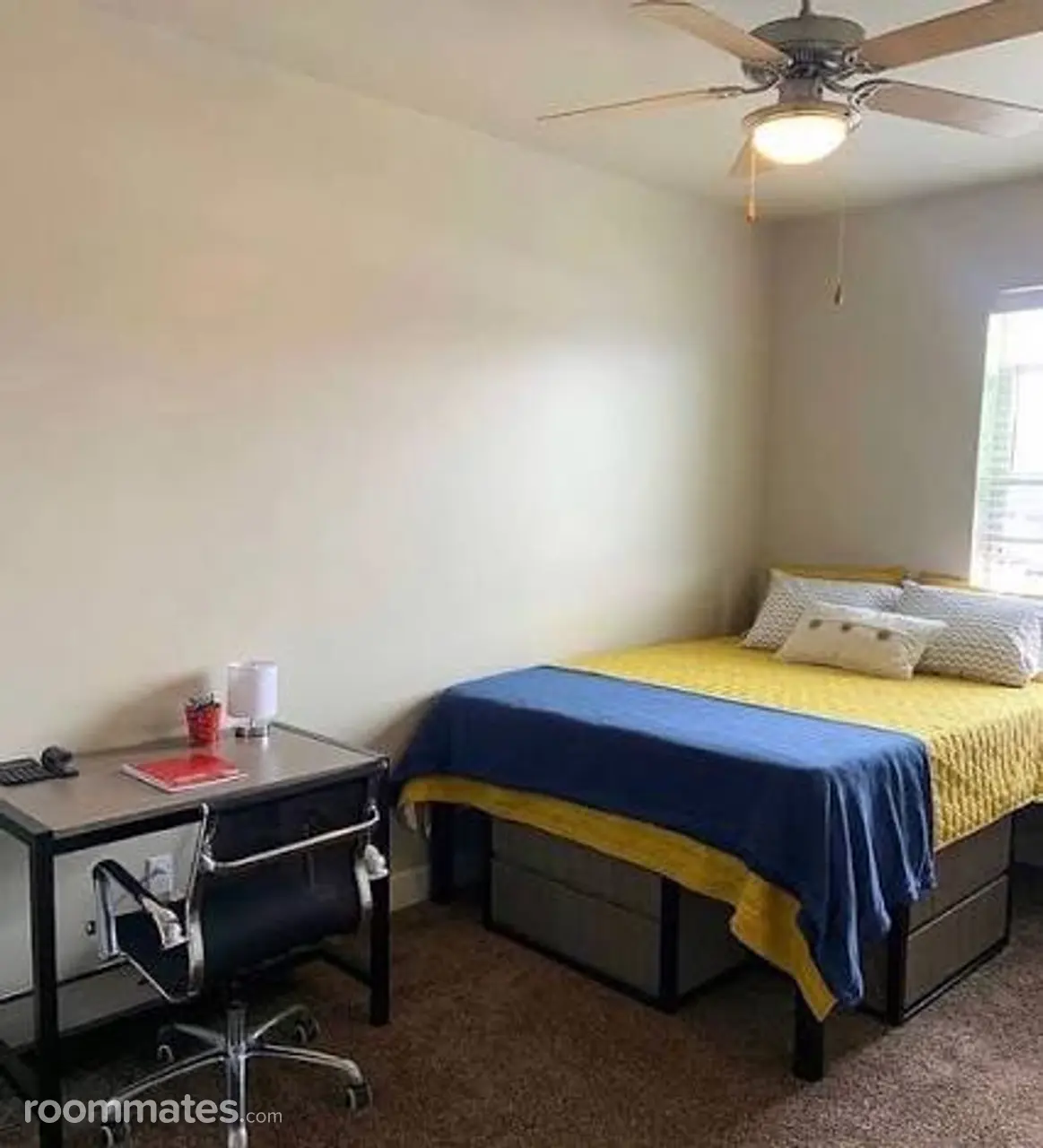 Profile photo 2 of 3