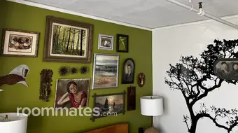 Room for rent in Asheville, NC $1000, apartment